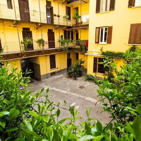 Palm Apartment-3